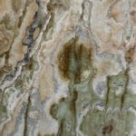 Grüner Onyx